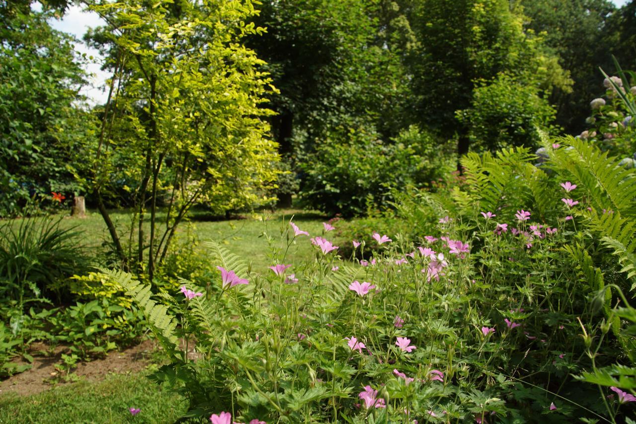 Bed & Breakfast Aan De Beek Arcen Exterior foto